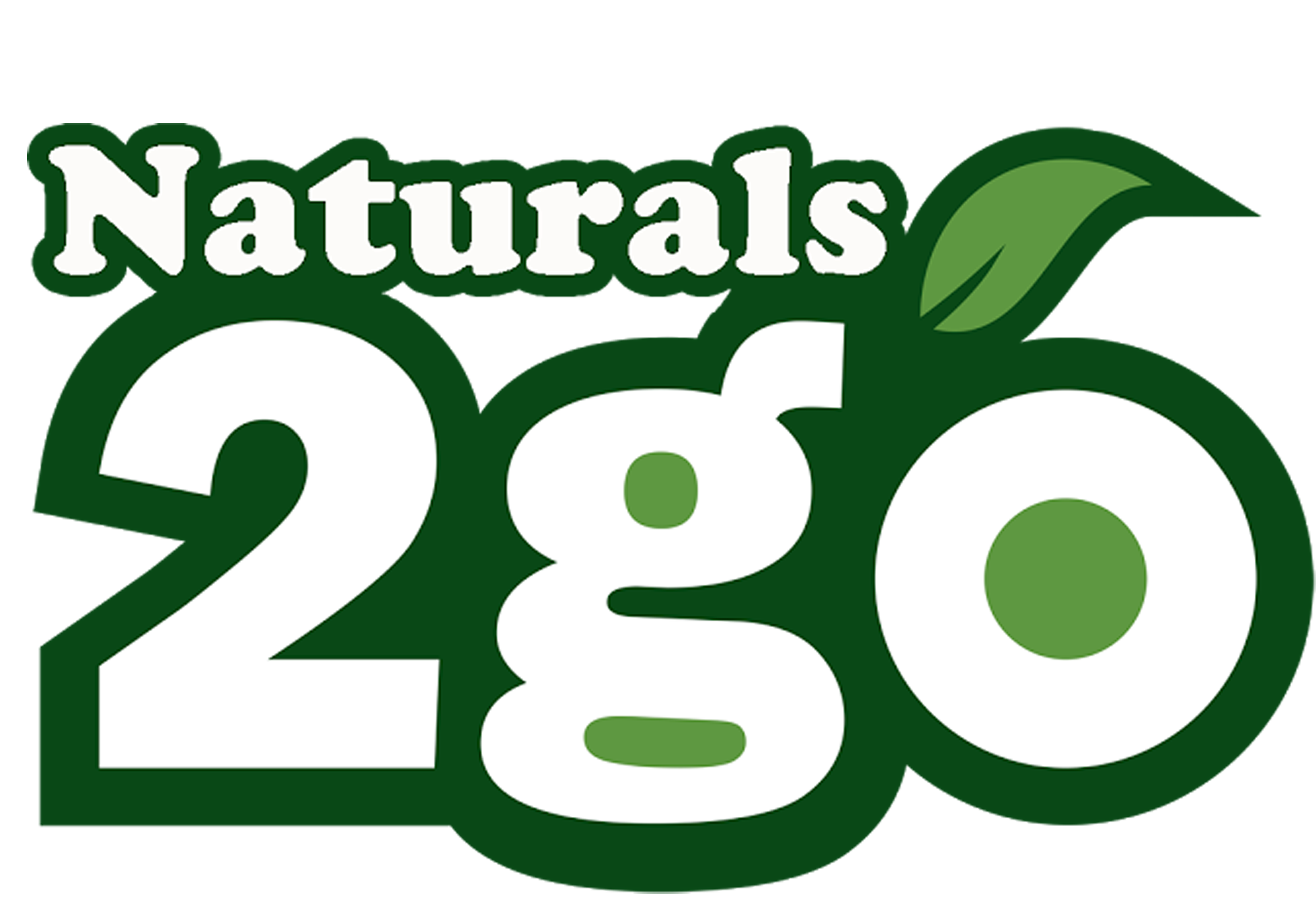 n2go Template 1